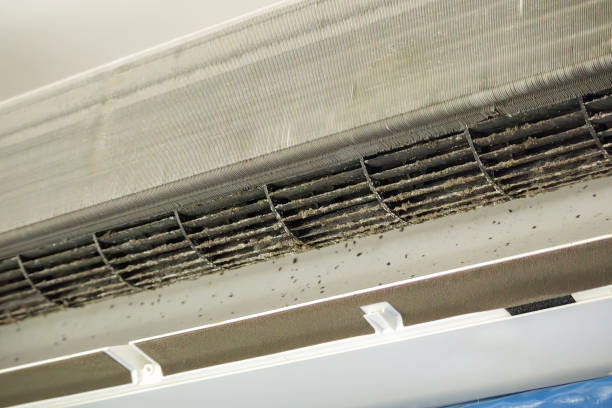 Best Affordable Duct Cleaning Services  in Horn Lake, MS