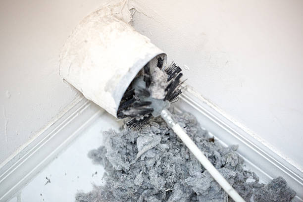 Best Professional Duct Cleaning Services  in Horn Lake, MS